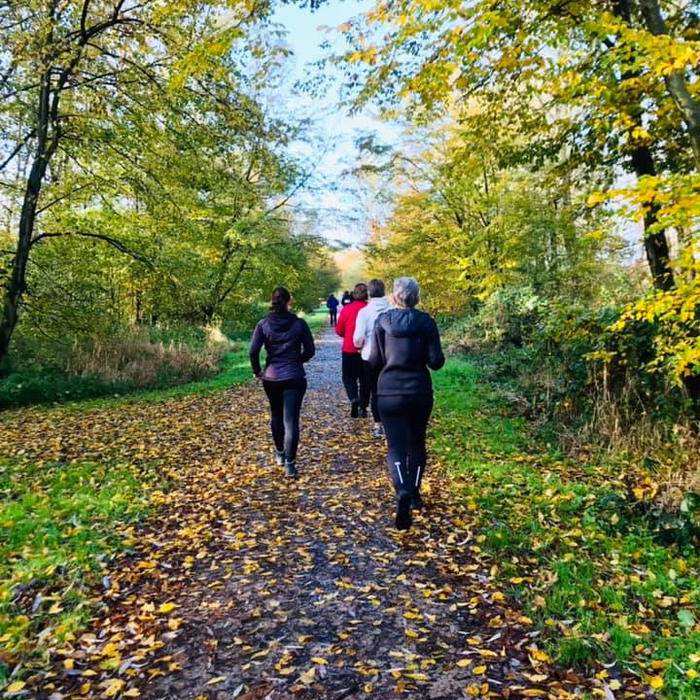 This image for Image Layouts addon